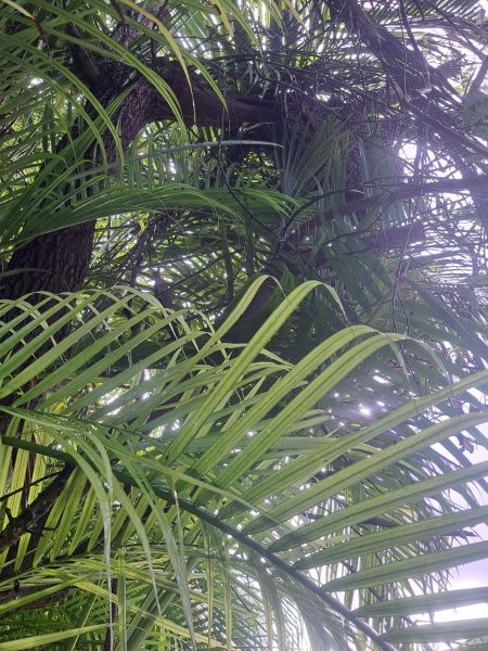 20221031_093144.jpg