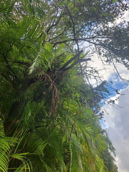 20221031_093859.jpg