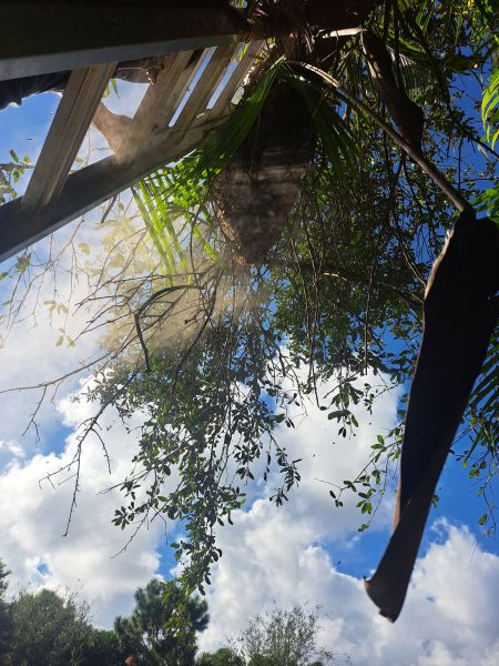 20221102_104114.jpg