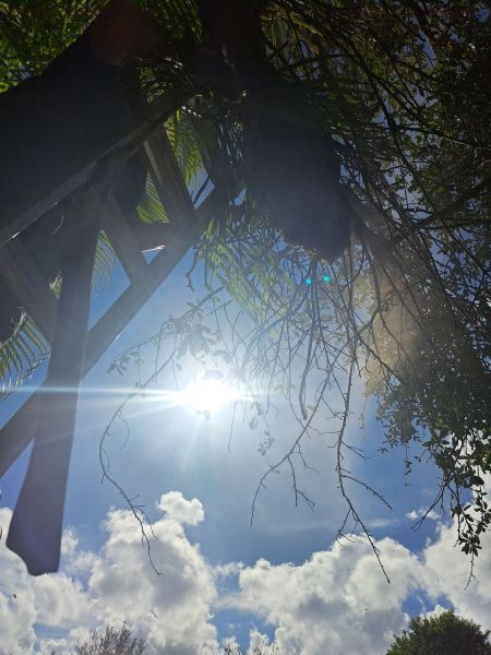 20221102_104117.jpg