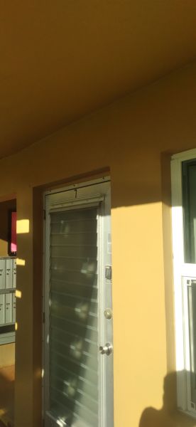 20230316_175231.jpg