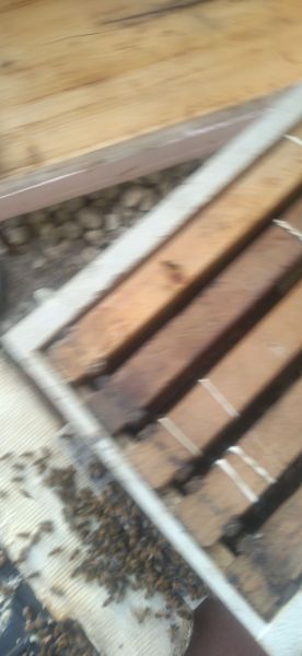 20230316_183816.jpg