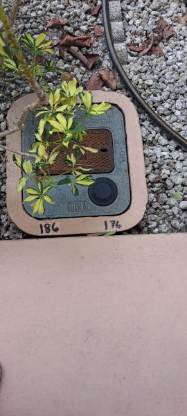 20230330_111539.jpg