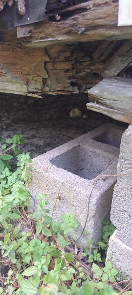 20230413_145014.jpg