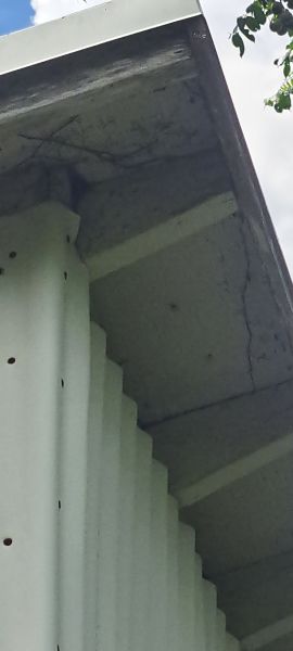 20230413_145230.jpg