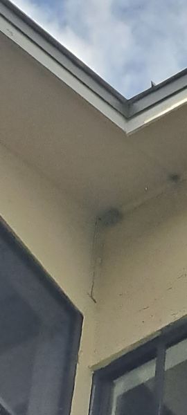 20230425_112058.jpg