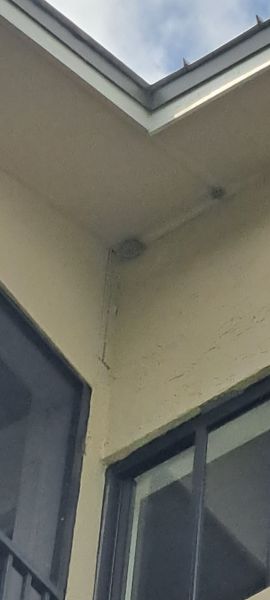 20230425_112100.jpg