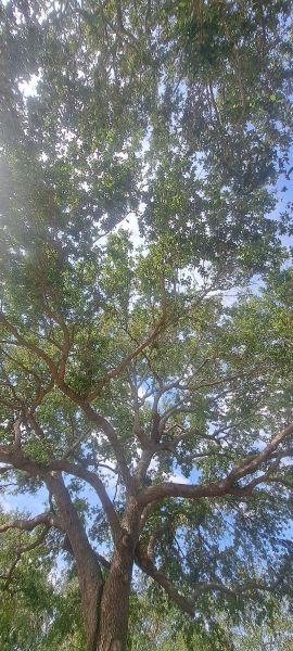 20230503_103515.jpg