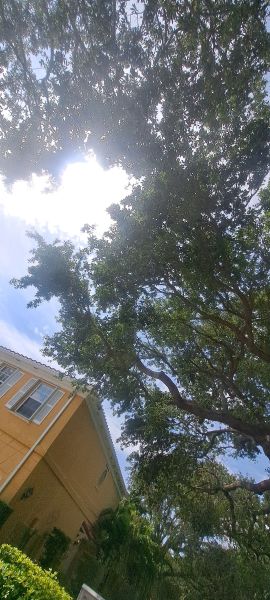20230503_103516.jpg