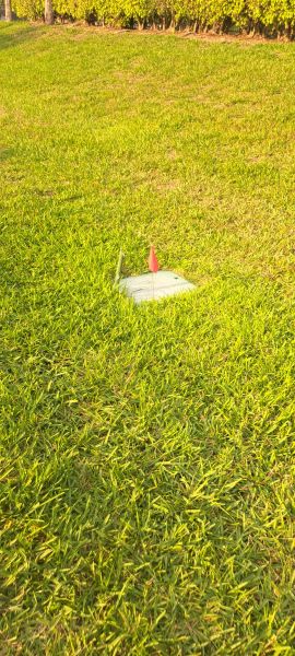 20230505_183850.jpg