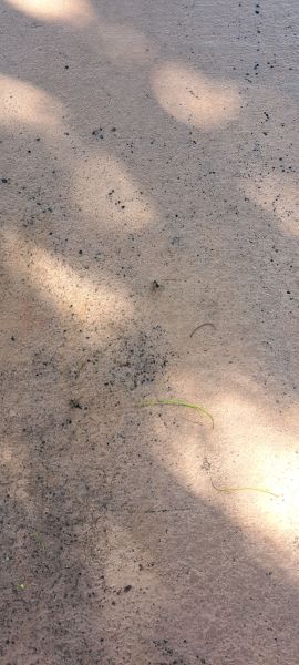 20230519_144426.jpg
