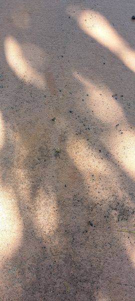 20230519_144428.jpg