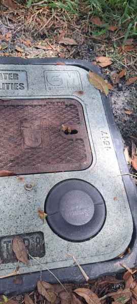 20230524_120659.jpg