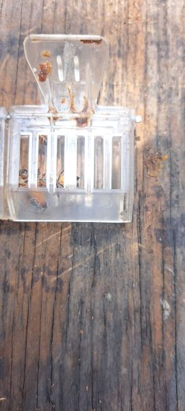 20230609_131617.jpg