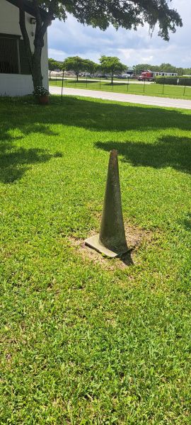 20230612_114541.jpg