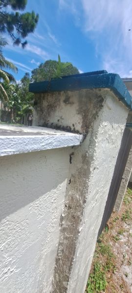 20230615_122521.jpg