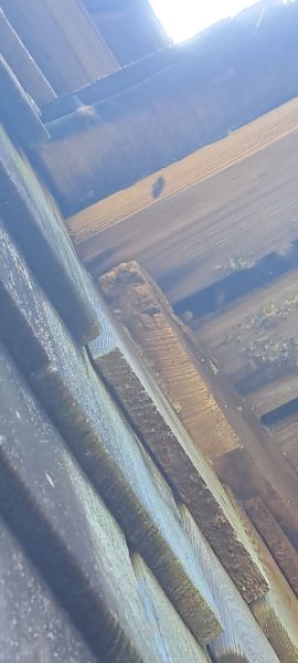 20230626_150448.jpg