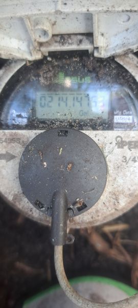 20230627_121737.jpg