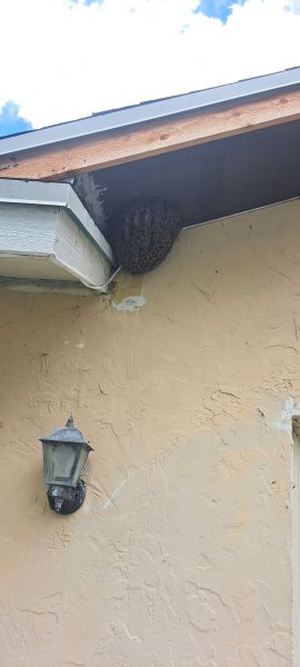 20230707_135359.jpg