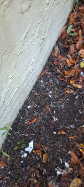 20230714_094407.jpg