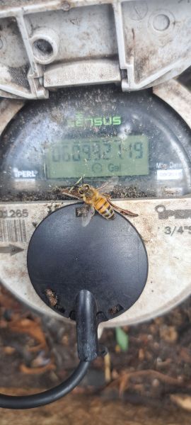 20230720_132150.jpg