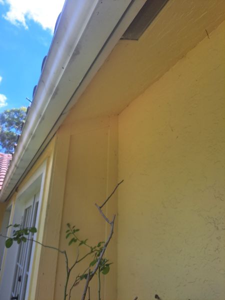 20230804_120206.jpg