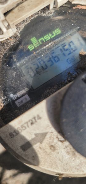20250423_160849.jpg