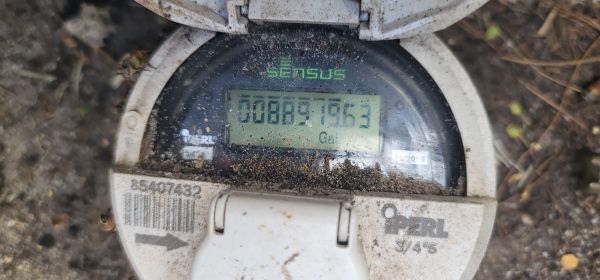 20250424_170818.jpg