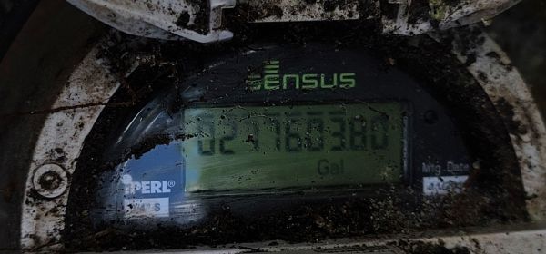 20250513_121316.jpg