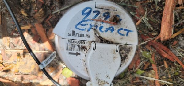 20250513_125133.jpg