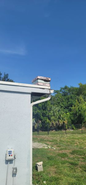 20250522_162931.jpg