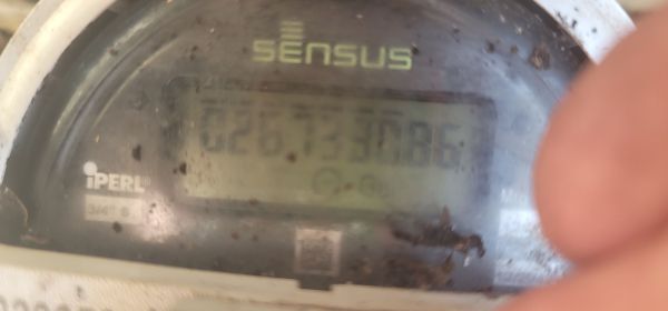 20250615_172126.jpg