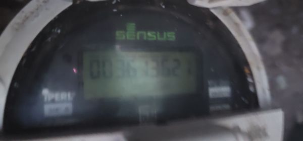 20250615_201639.jpg