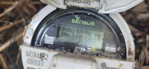 20250616_162054.jpg