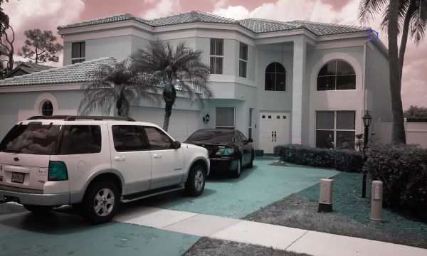 8967_Sonoma_Lake_Blvd-_Boca_-_33431_-_Location_of_Bee_Hive.jpg
