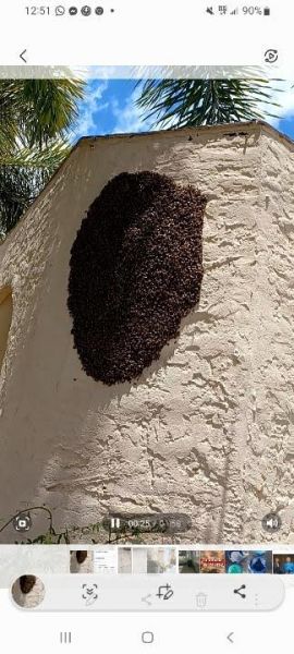 Swarm.jpg