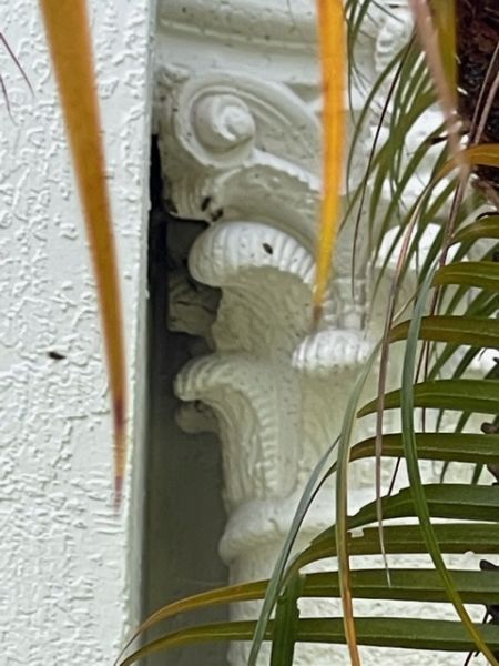 image0_28229.jpeg