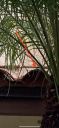 105_N_Atlantic_Dr_-_3.jpg