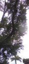 20210617_132017.jpg
