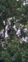 20210617_132040.jpg