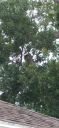 20210617_132044.jpg