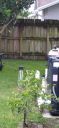 20210617_132133.jpg