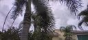 20210617_140120.jpg