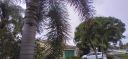 20210617_140126.jpg
