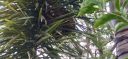 20210617_140232.jpg