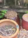 20210625_094449.jpg