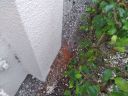 20210630_103428.jpg