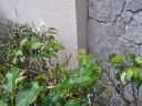 20210630_103434.jpg