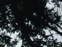 20210718_152140.jpg
