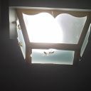 20211213_063517.jpg